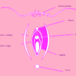 tabu blog, vagina