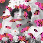 menstruacione