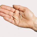 Pajisje IUD hormonale