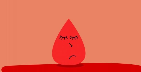 papjelloria te meshkujt