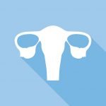 Vector illustration of white and blue square uterus icon.