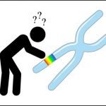Gjeni gay nuk ekziston