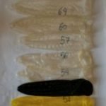 lunghezze-preservativo-per-taglia-171×300-1