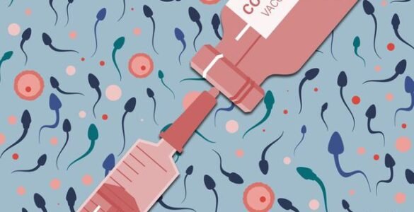 vaccine dhe sperma