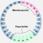 Cikli_Mujor_Normal_28725