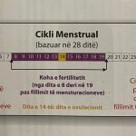 cikli mensrual dhe shtatzwnia