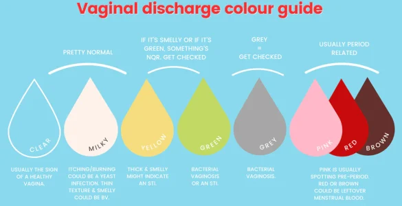 sekrecionet vaginale