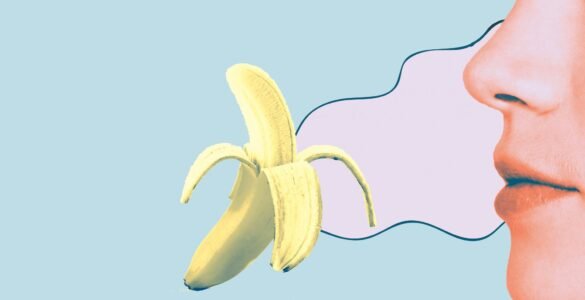 Pse penisi mban ere te keqe