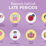 Late-Period